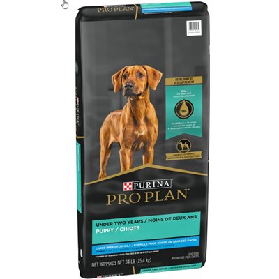 PP CHIOT GRANDE RACE - 15.4 KG PP CHIOT GRANDE RACE - 15.4 KG
