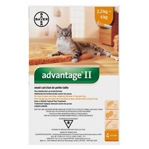 ADVANTAGE II CHAT - ENTRE 2.3KG & 4 KG (4)