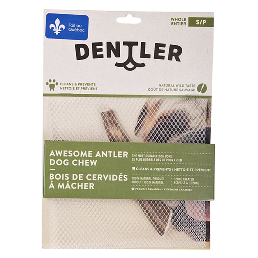 DENTLER BOIS CERVIDÉ ENTIER NAT PETIT